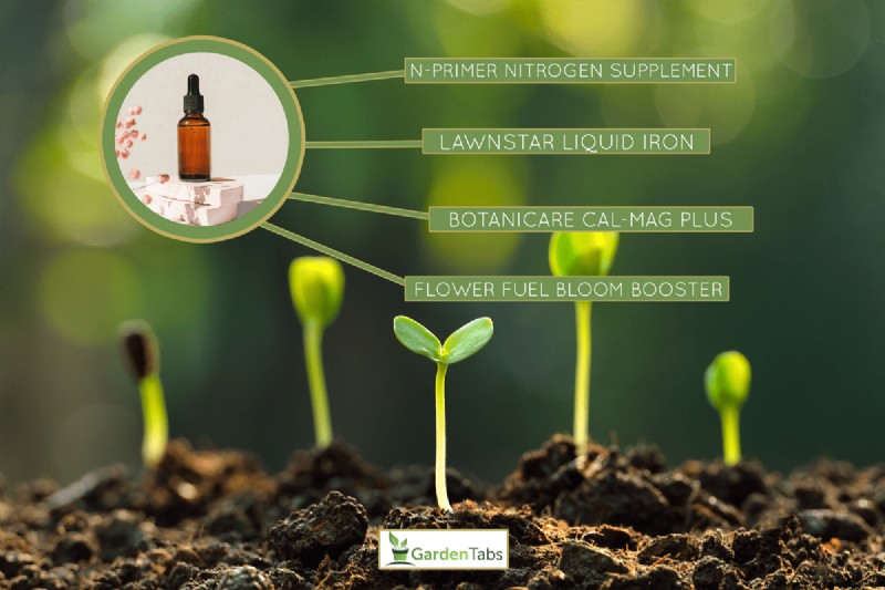 15 Best Vitamin Supplements For Plants