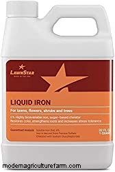 15 Best Vitamin Supplements For Plants