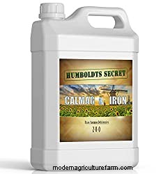 15 Best Vitamin Supplements For Plants