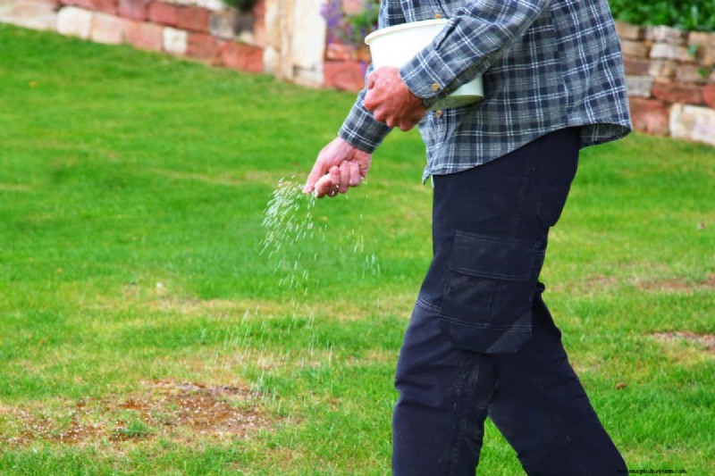 How Quickly Does Grass Seed Dry Out?