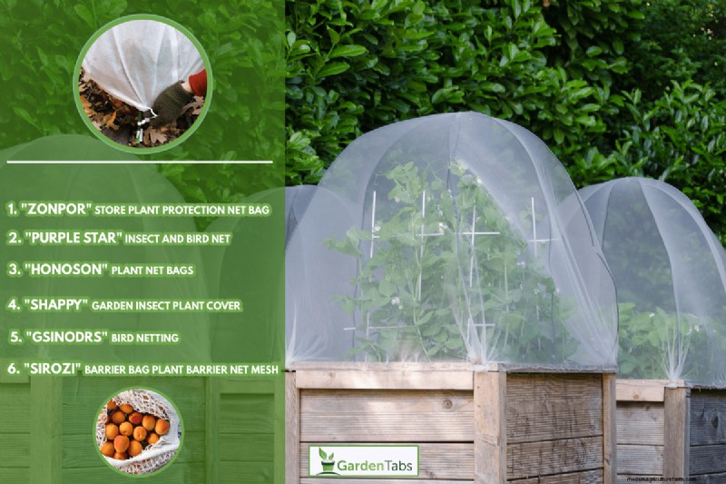 What Is The Best Netting For Tomato Plants?