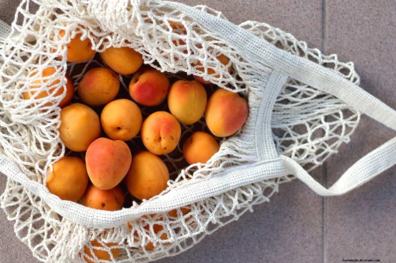 What Is The Best Netting For Tomato Plants?