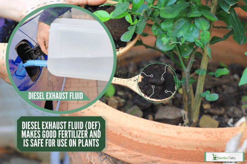 Can You Use Diesel Exhaust Fluid For Fertilizer?