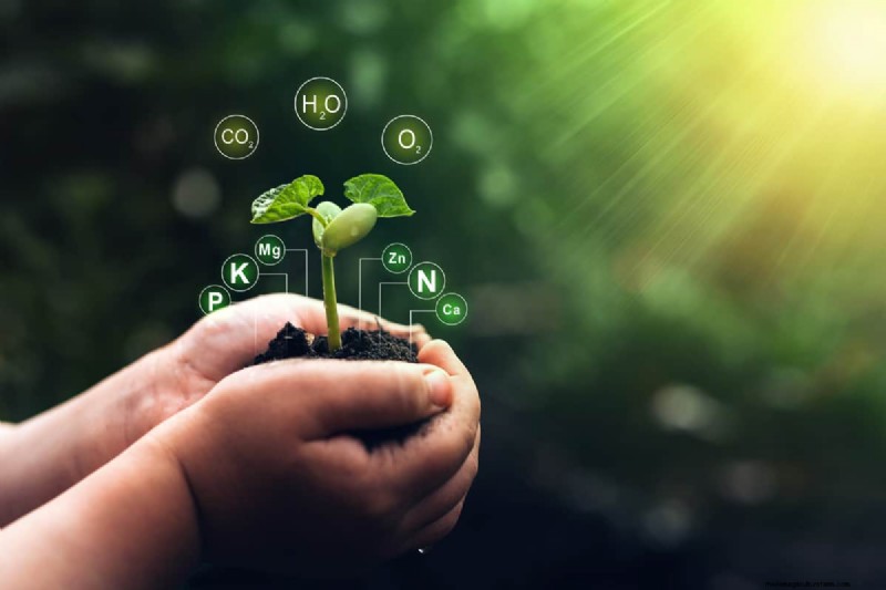 Can You Use Diesel Exhaust Fluid For Fertilizer?