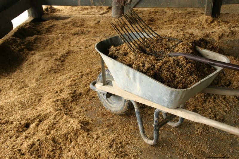 Can You Use Diesel Exhaust Fluid For Fertilizer?