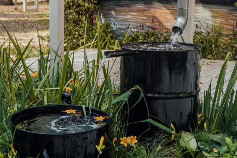 What Is The Best Store Bought Water For Plants?