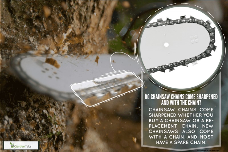 Do Chainsaw Chains Come Sharpened And With The Chain?