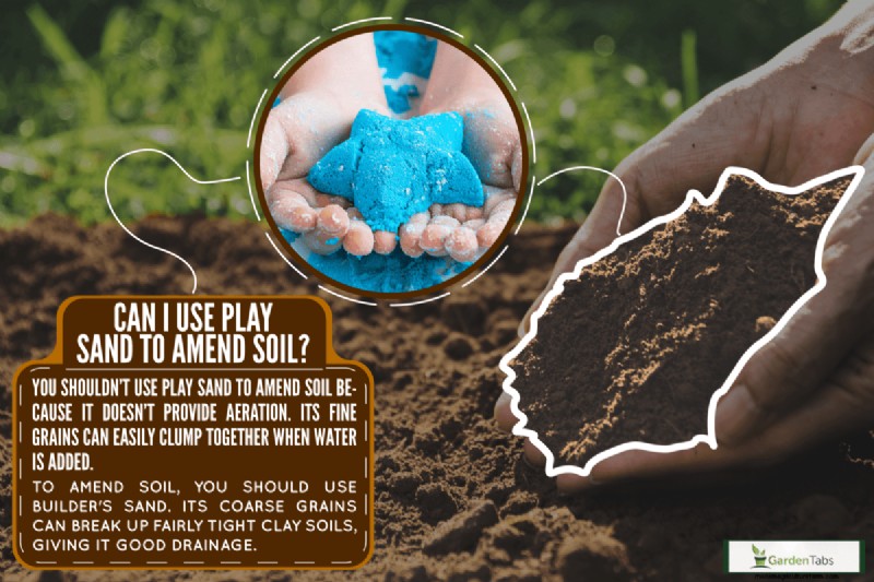 Can I Use Play Sand To Amend Soil?