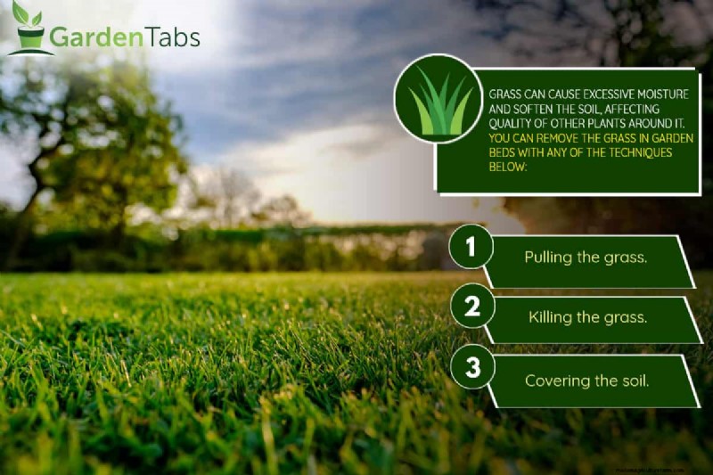 How To Keep Grass Out Of Garden Beds