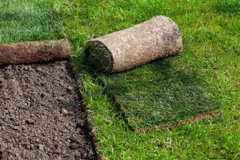 How To Keep Grass Out Of Garden Beds