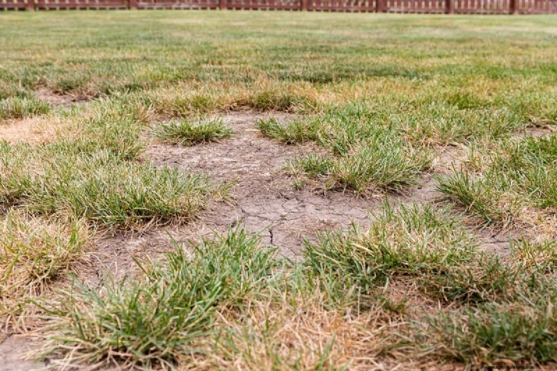 How To Keep Grass Out Of Garden Beds