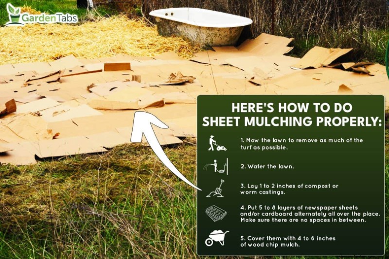 Sheet Mulching To Kill Grass – How To?