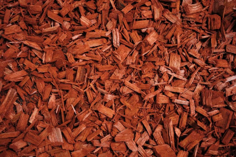 Sheet Mulching To Kill Grass – How To?