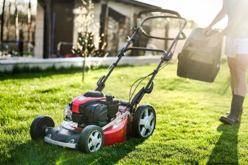 Sheet Mulching To Kill Grass – How To?