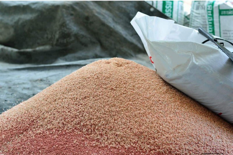 Best Fertilizer For Fig Trees In Pots