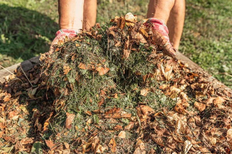 Can Mulching Leaves Kill Grass?