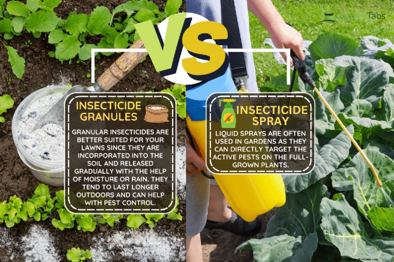 Insecticide Granules Vs. Spray – Which Is Best For Your Lawn & Garden?