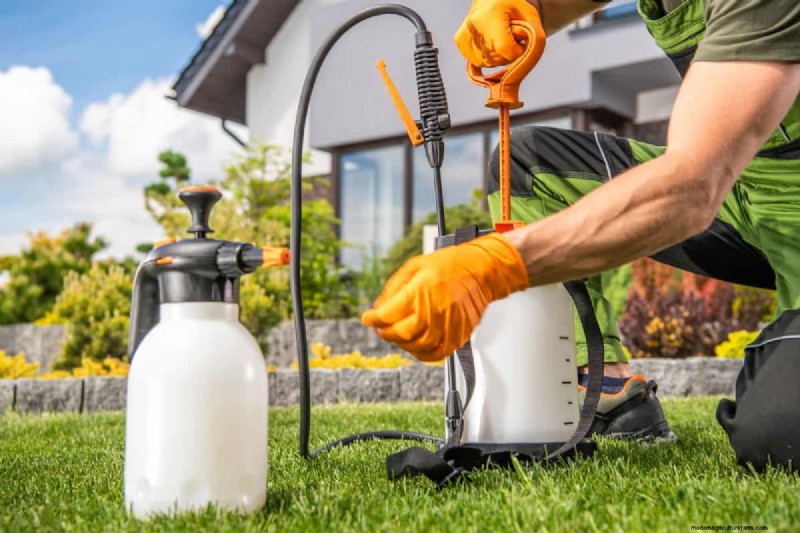 Insecticide Granules Vs. Spray – Which Is Best For Your Lawn & Garden?