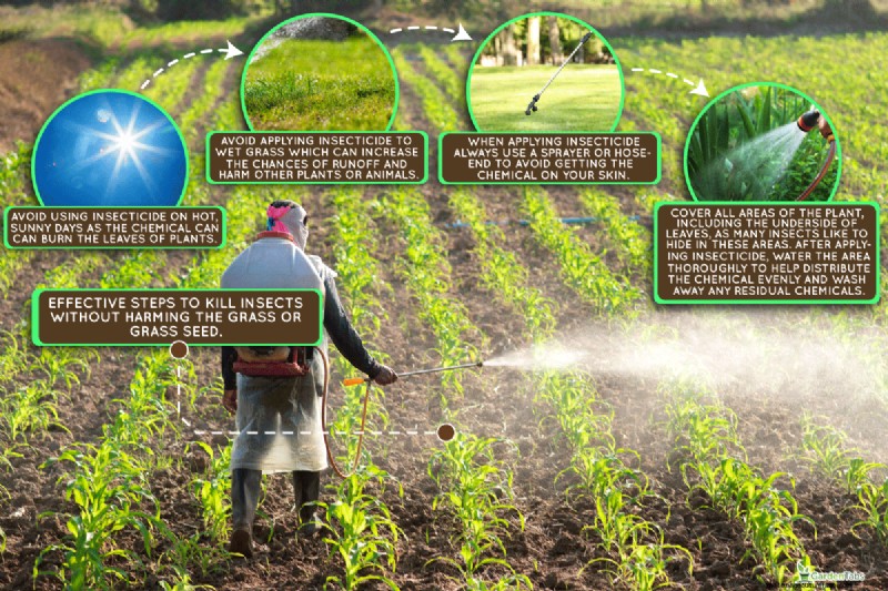 Will Insecticide Kill Grass Or Grass Seed?