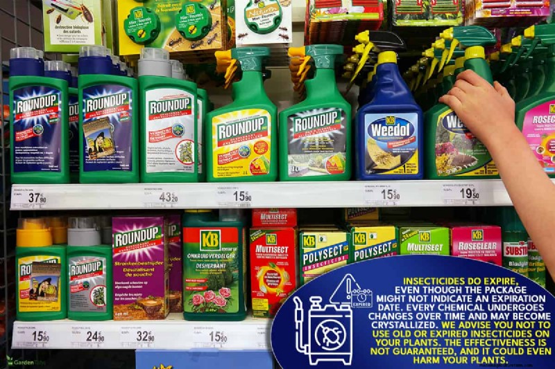 Do Insecticides Expire Or Have A Shelf Life?