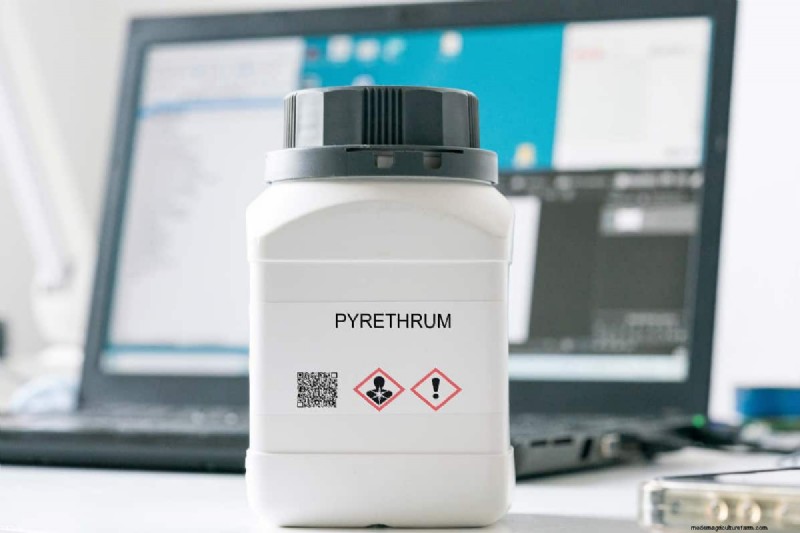 Do Insecticides Expire Or Have A Shelf Life?