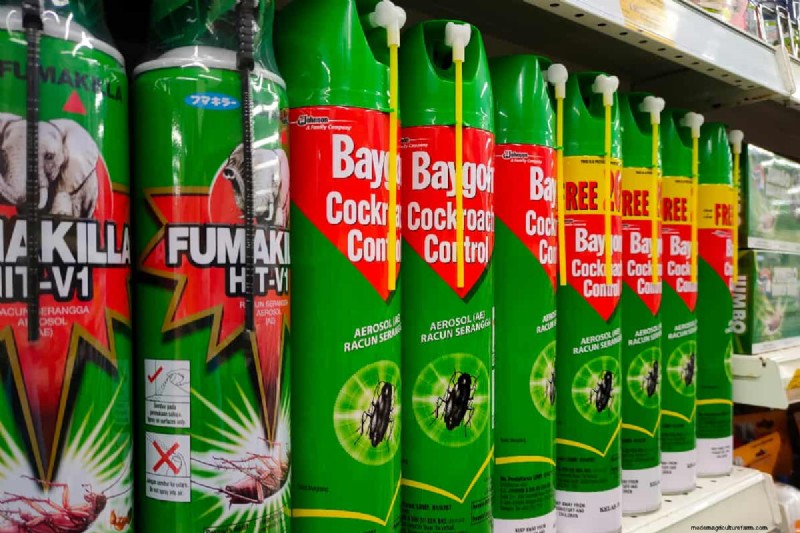 Do Insecticides Expire Or Have A Shelf Life?