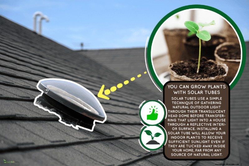 Can You Grow Plants With Solar Tubes?