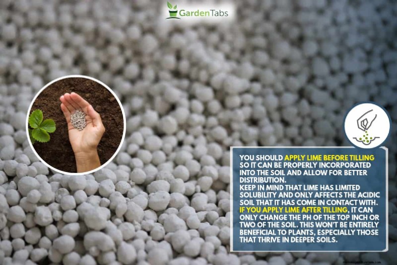 Lime Before Or After Tilling? Which Is Best?