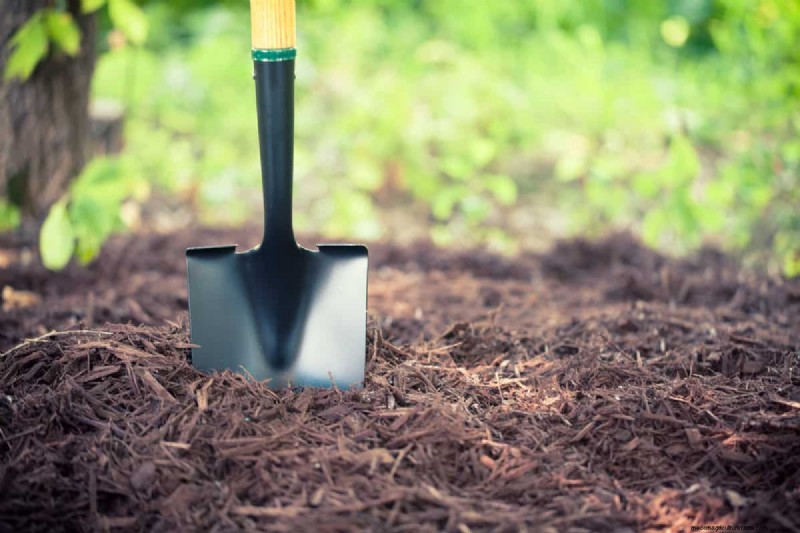 Does Mulching Cause Thatch And Spread Weeds?