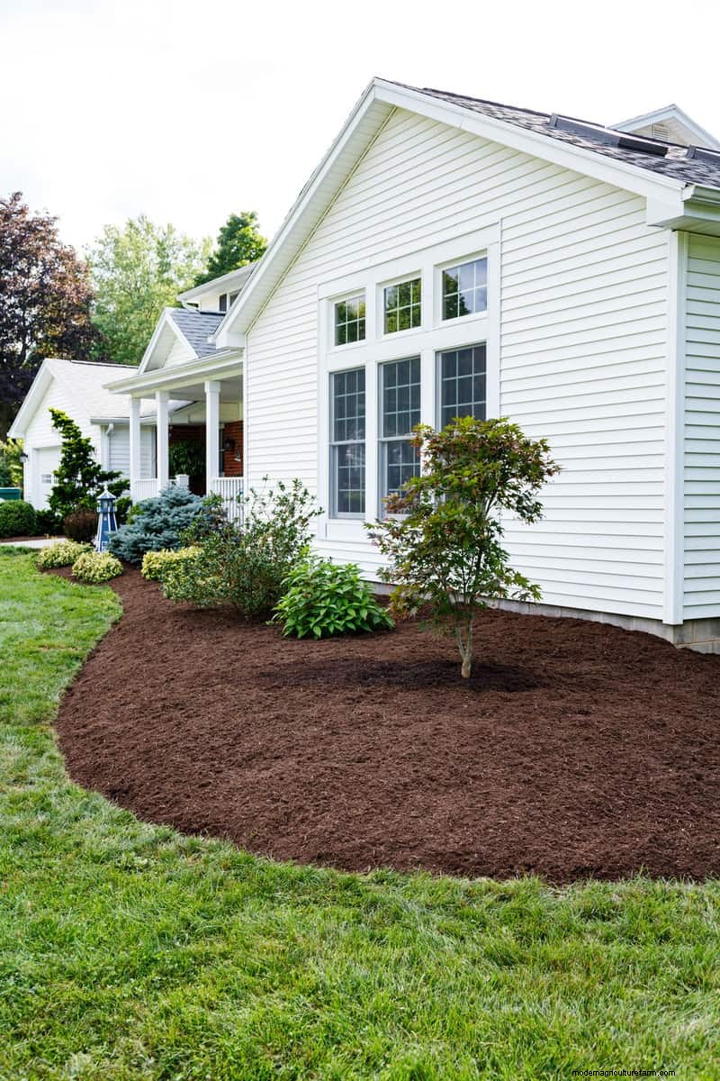 Does Mulching Cause Thatch And Spread Weeds?