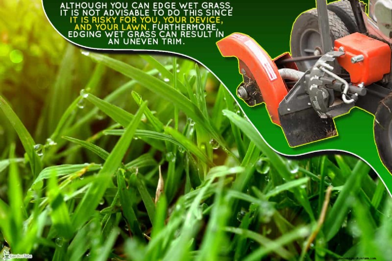 Can You Edge Wet Grass? Should You?