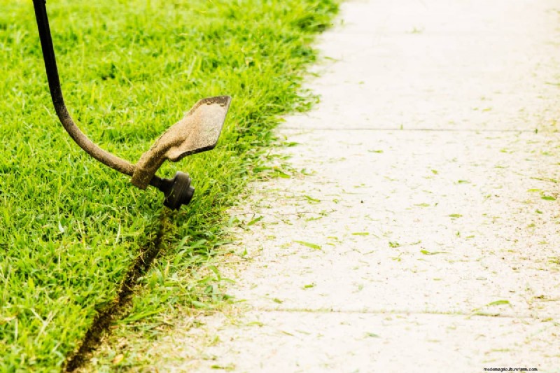 Can You Edge Wet Grass? Should You?