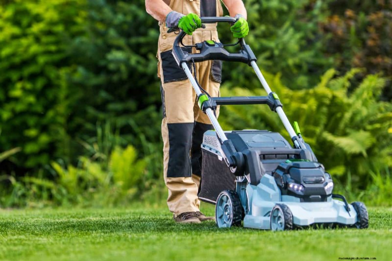 Can You Edge Wet Grass? Should You?