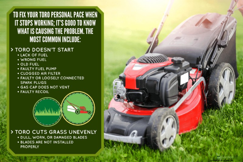 Toro Personal Pace Not Working – Why And What To Do?