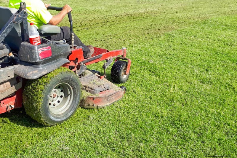Toro Personal Pace Not Working – Why And What To Do?