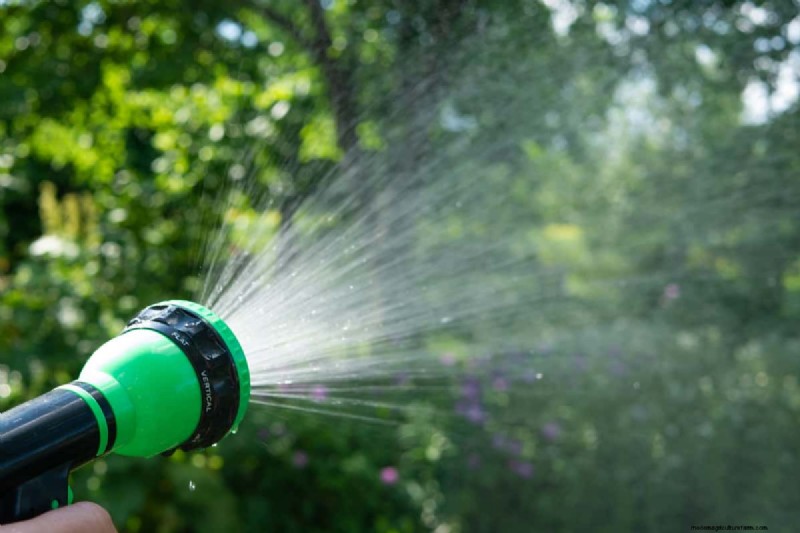 How To Clean Landscape Rocks Without Killing Plants?