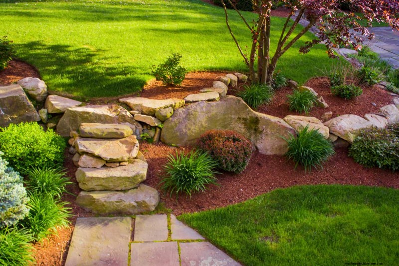 How To Clean Landscape Rocks Without Killing Plants?