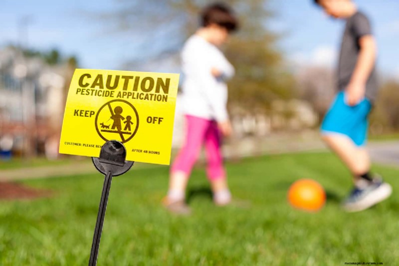 Are Insecticides Harmful To Plants, Pets, Or Humans?