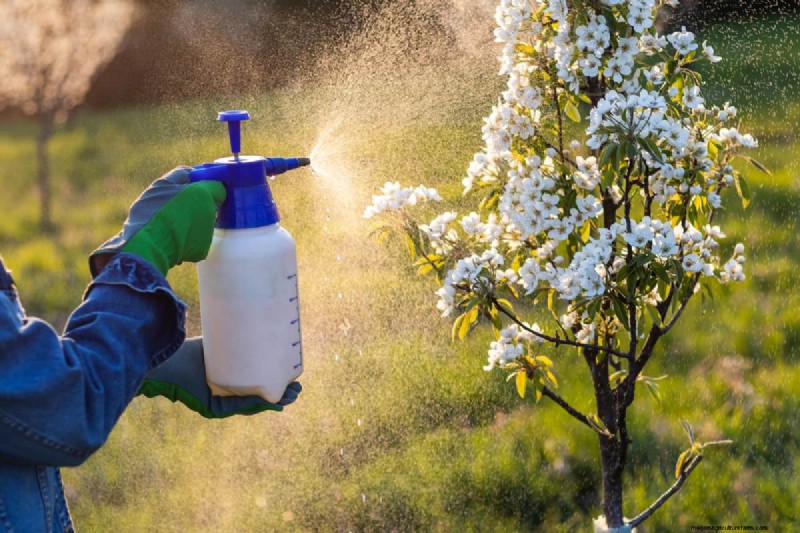 Are Insecticides Harmful To Plants, Pets, Or Humans?