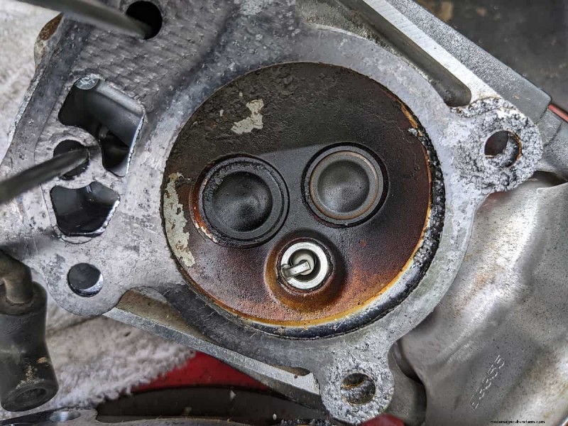 Toro Lawn Mower Smoking – Why And What To Do?