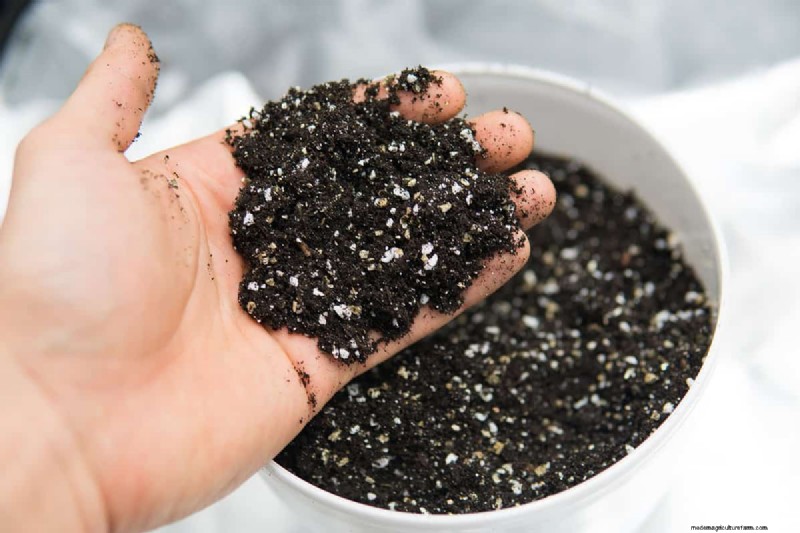 Perlite Rising To Top Of Soil – Why And What To Do?