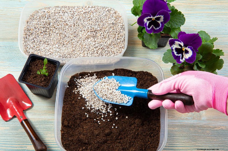 Perlite Rising To Top Of Soil – Why And What To Do?