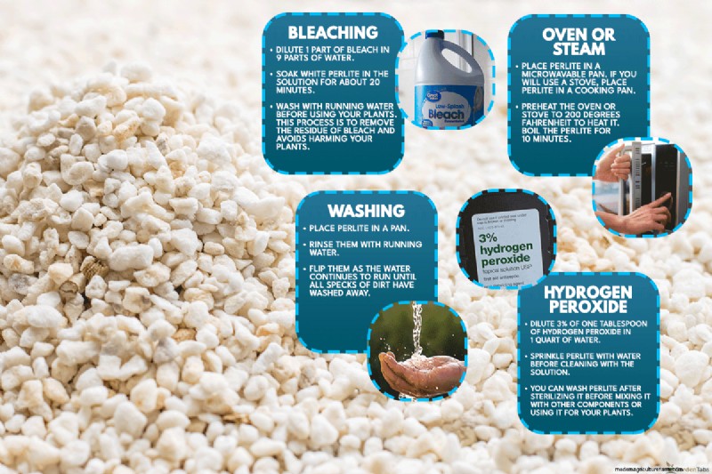 Perlite Rising To Top Of Soil – Why And What To Do?