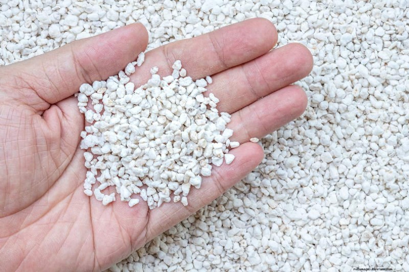 Perlite Rising To Top Of Soil – Why And What To Do?