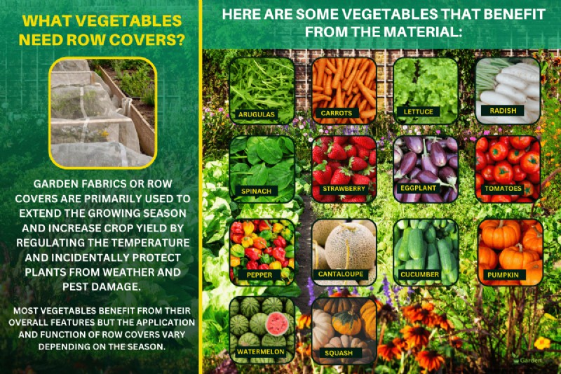 What Vegetables Need Row Covers?