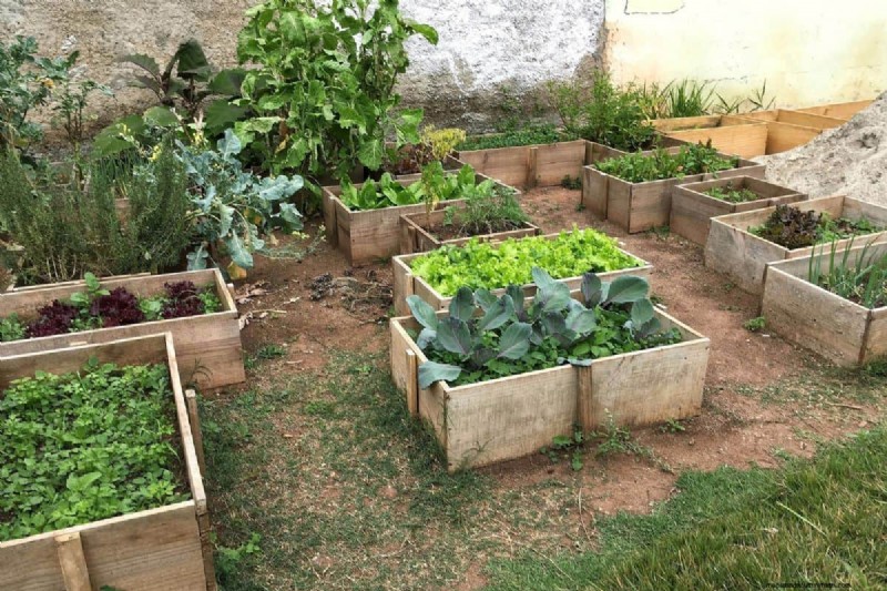 My Raised Bed Keeps Drying Out – Why? What To Do?