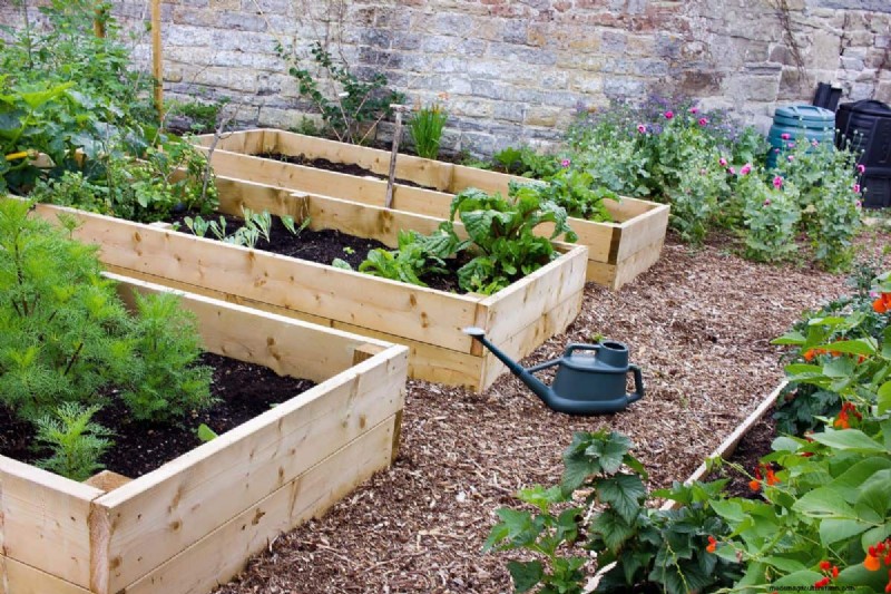 My Raised Bed Keeps Drying Out – Why? What To Do?
