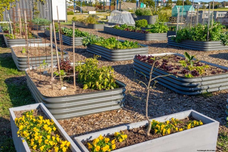 My Raised Bed Keeps Drying Out – Why? What To Do?