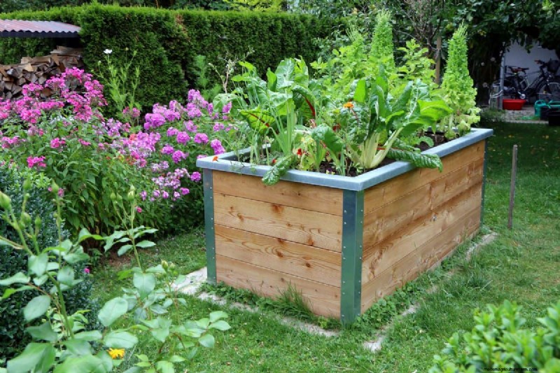 My Raised Bed Keeps Drying Out – Why? What To Do?