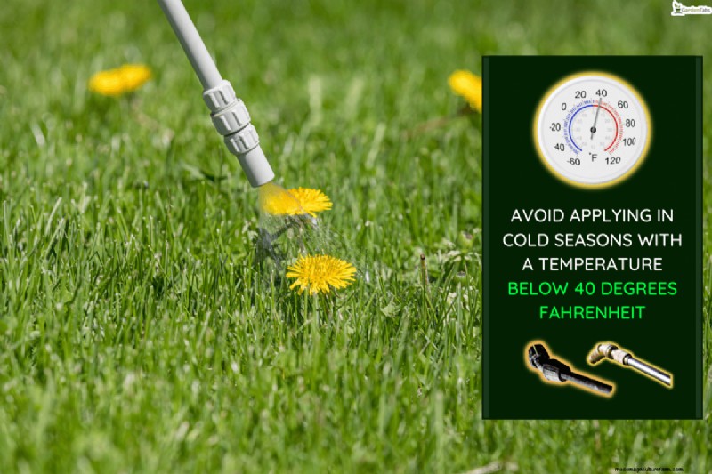 When Is It Too Cold To Spray Herbicide?